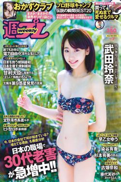 无敌副村长